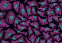 iso 20387:2018 biobanking et Euro-Quality System