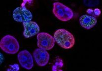 national-cancer-institute-L7en7Lb-Ovc-unsplash1_1